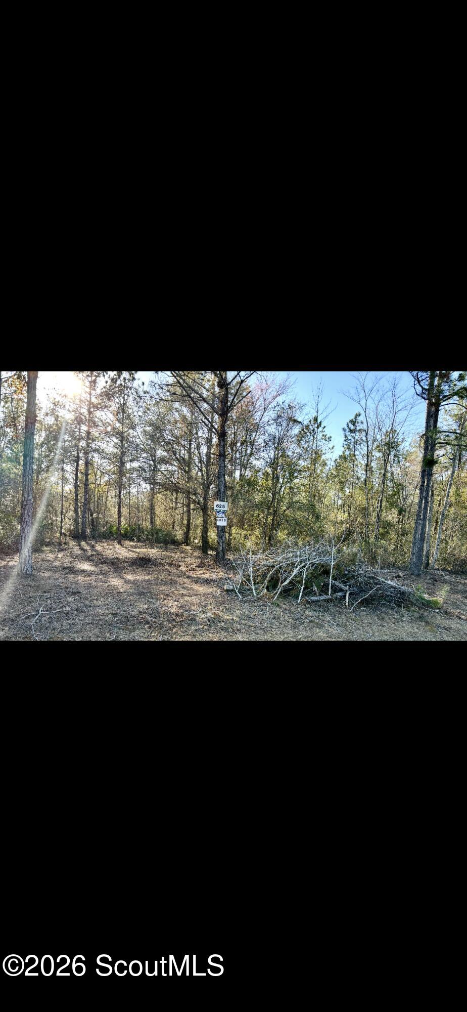 1625 Janells River Drive, Lot # 9