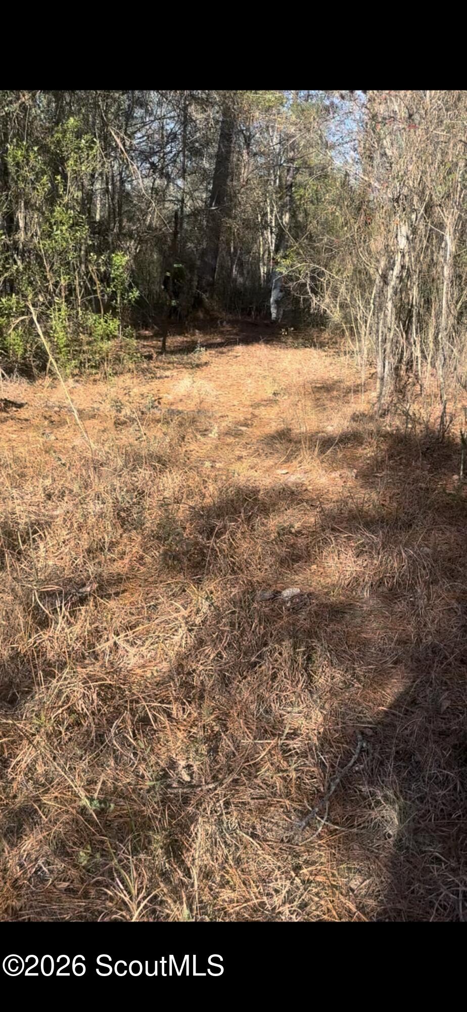 1625 Janells River Drive, Lot # 9