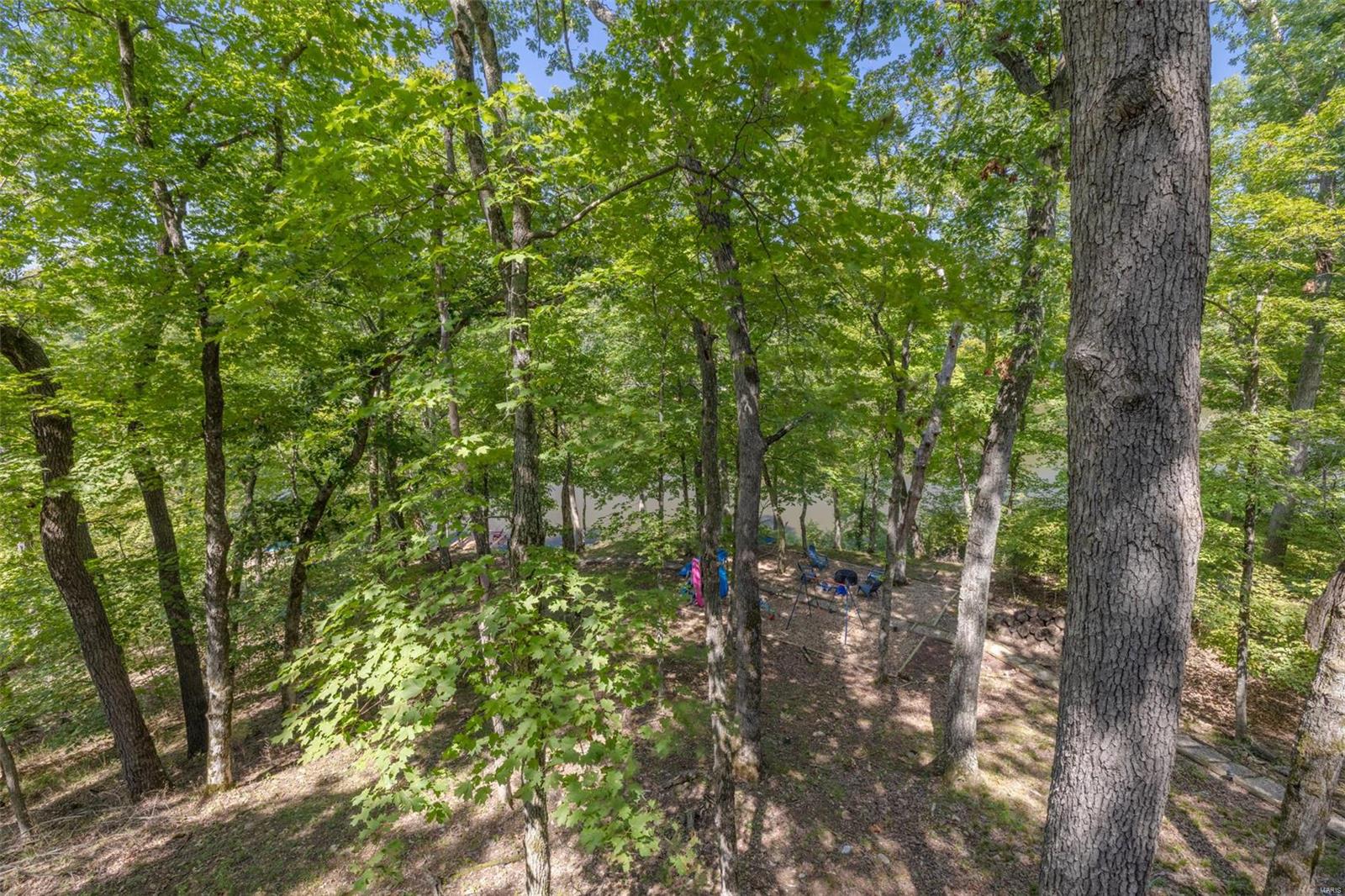 1205 Whitetail Point Drive