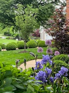 16737 Kehrs Mill Estates Drive