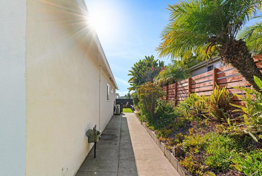 234 Delphinium Street