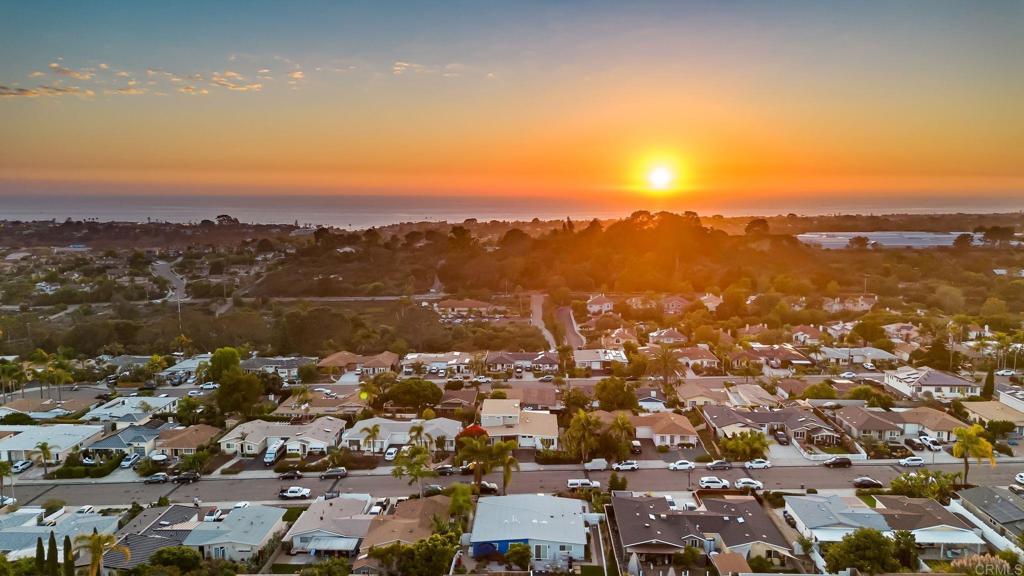 234 Delphinium Street