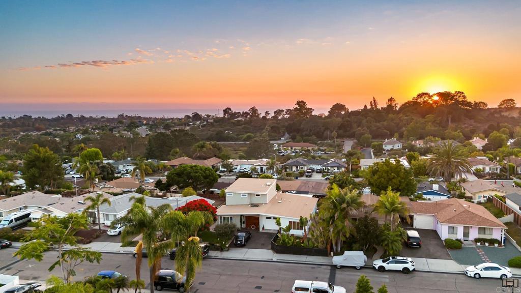 234 Delphinium Street