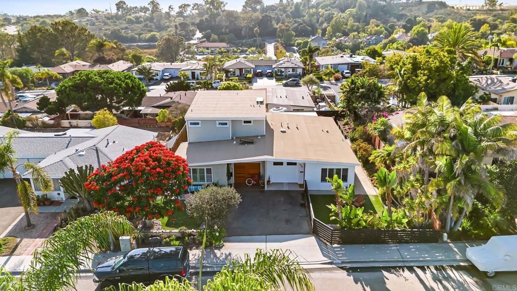 234 Delphinium Street