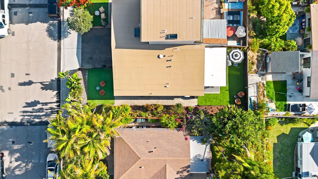 234 Delphinium Street