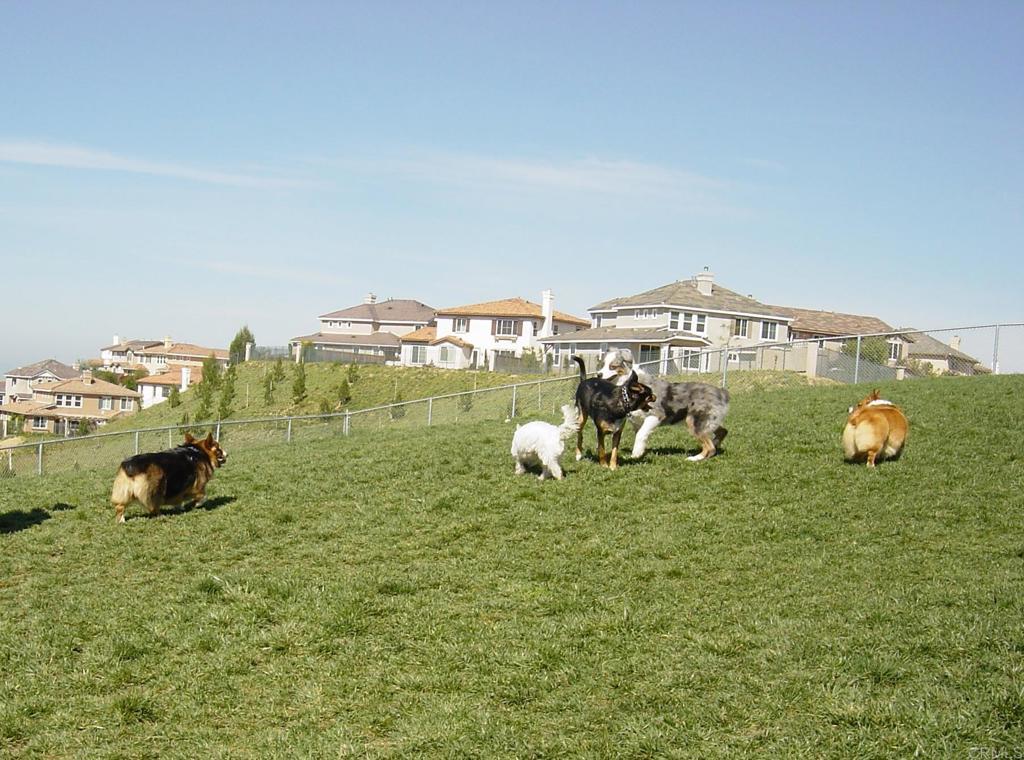 1259 Elfin Forest Road E