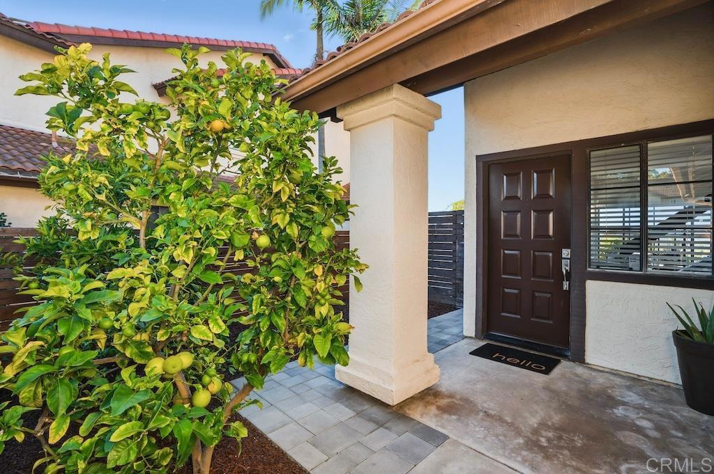 3626 Harwich Drive