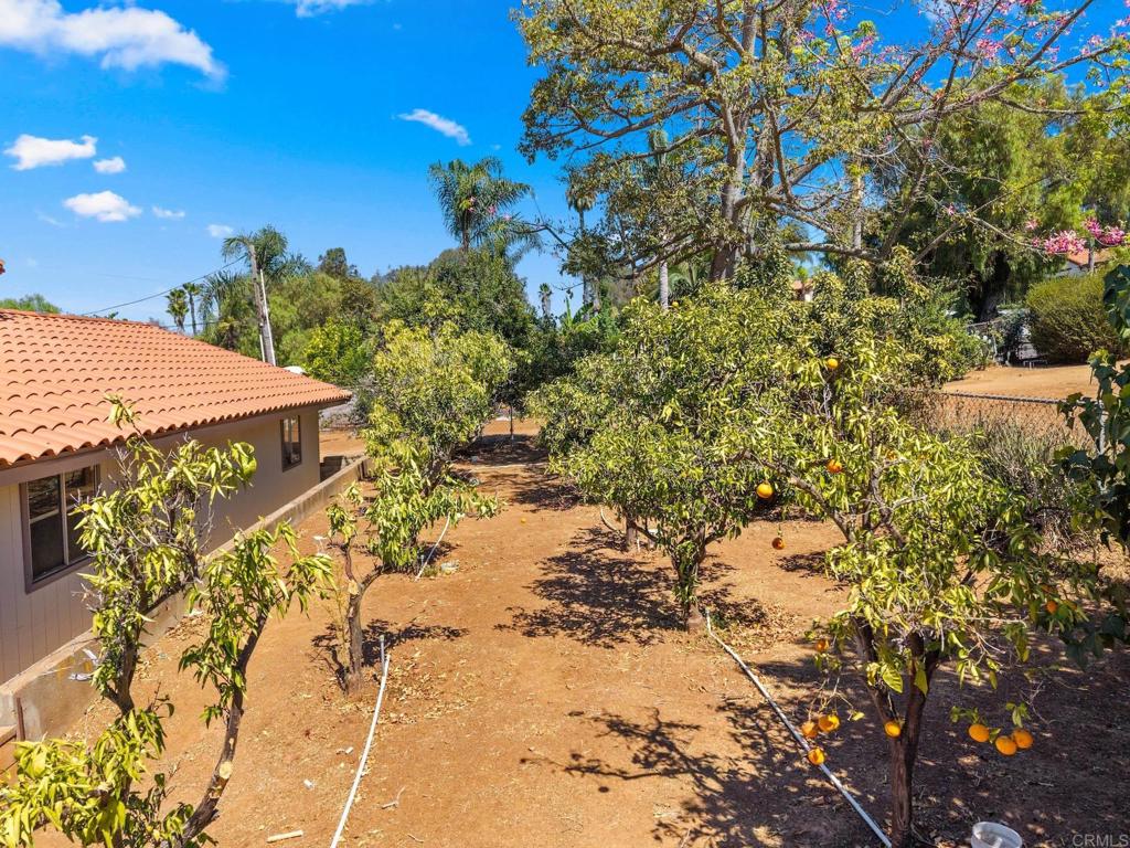 938 Evergreen Lane