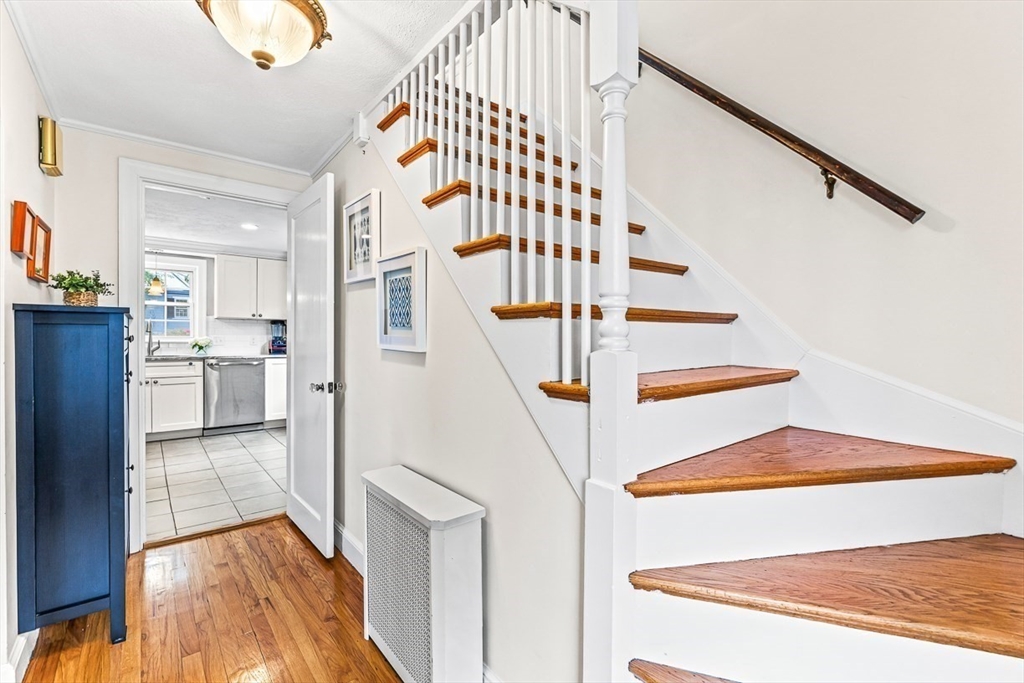 6 Governors Avenue