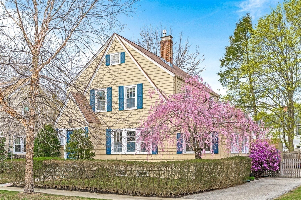 44 Forest Street
