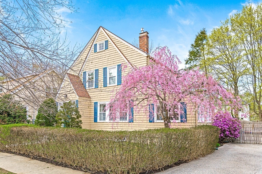 44 Forest Street