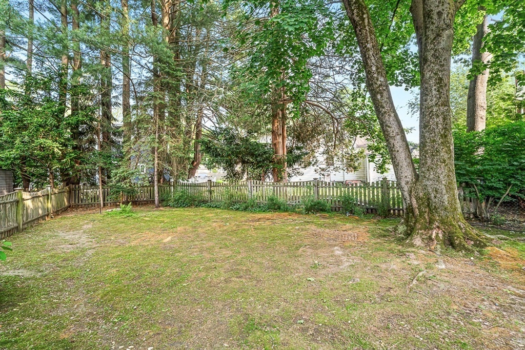 8 Garfield Avenue