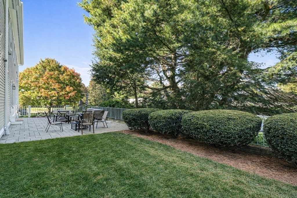 37 Mayflower Road