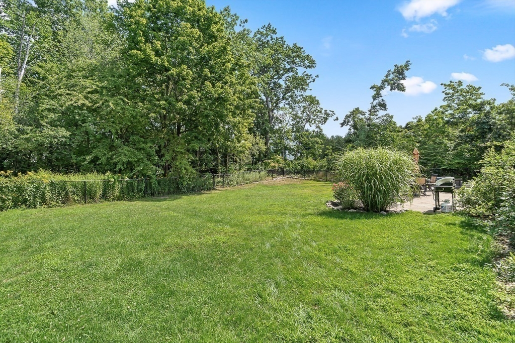 3 Butternut Lane