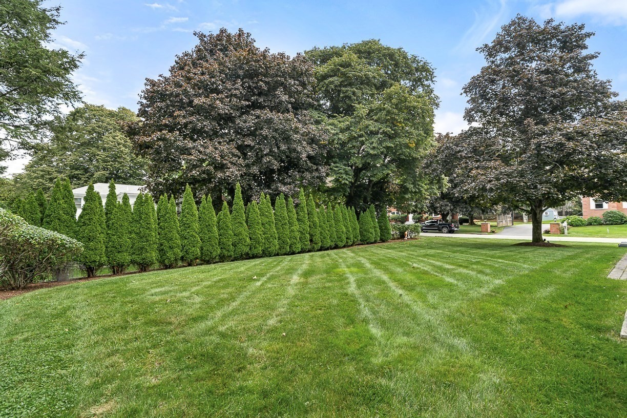 37 Mayflower Road