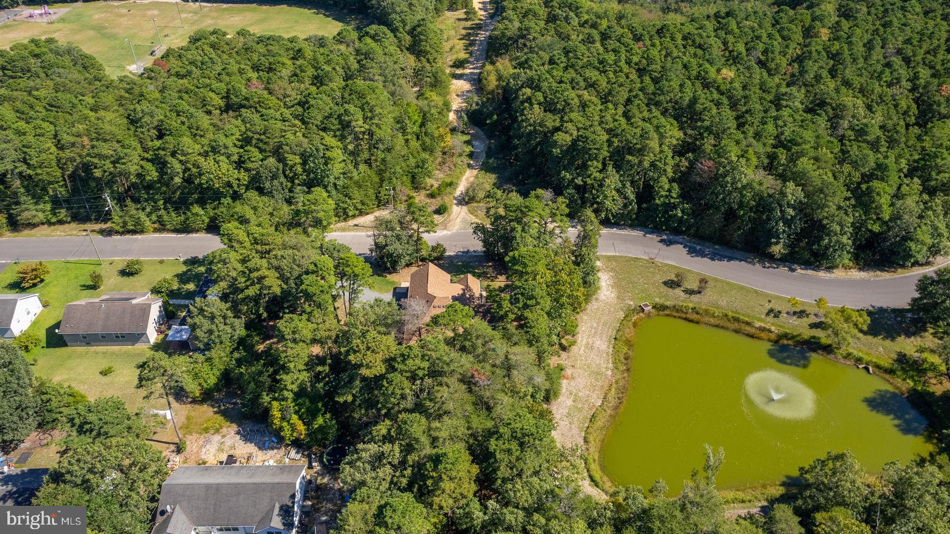 243 BITTLEWOOD AVENUE