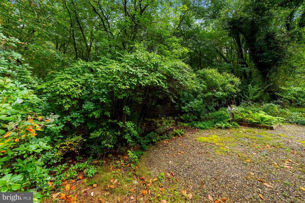 35 SHENANDOAH DRIVE