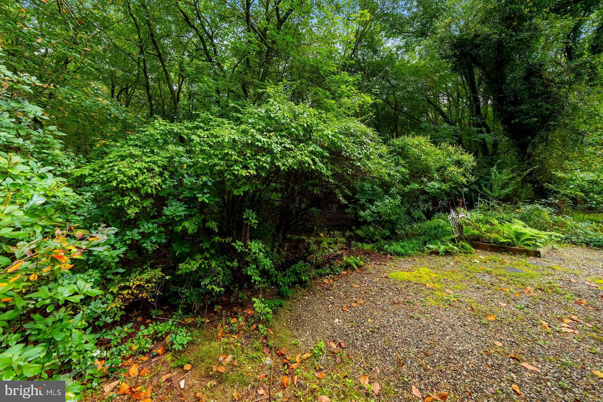 35 SHENANDOAH DRIVE