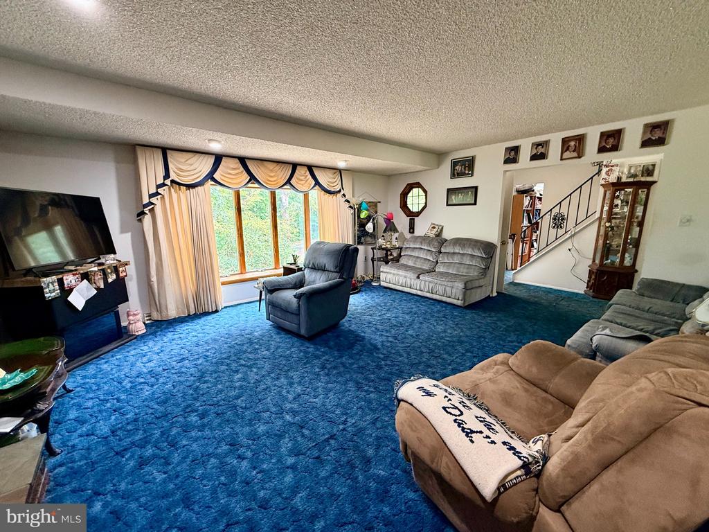 Living room with vivid blue carpet, tan and gray sofas, and a large curtained window.