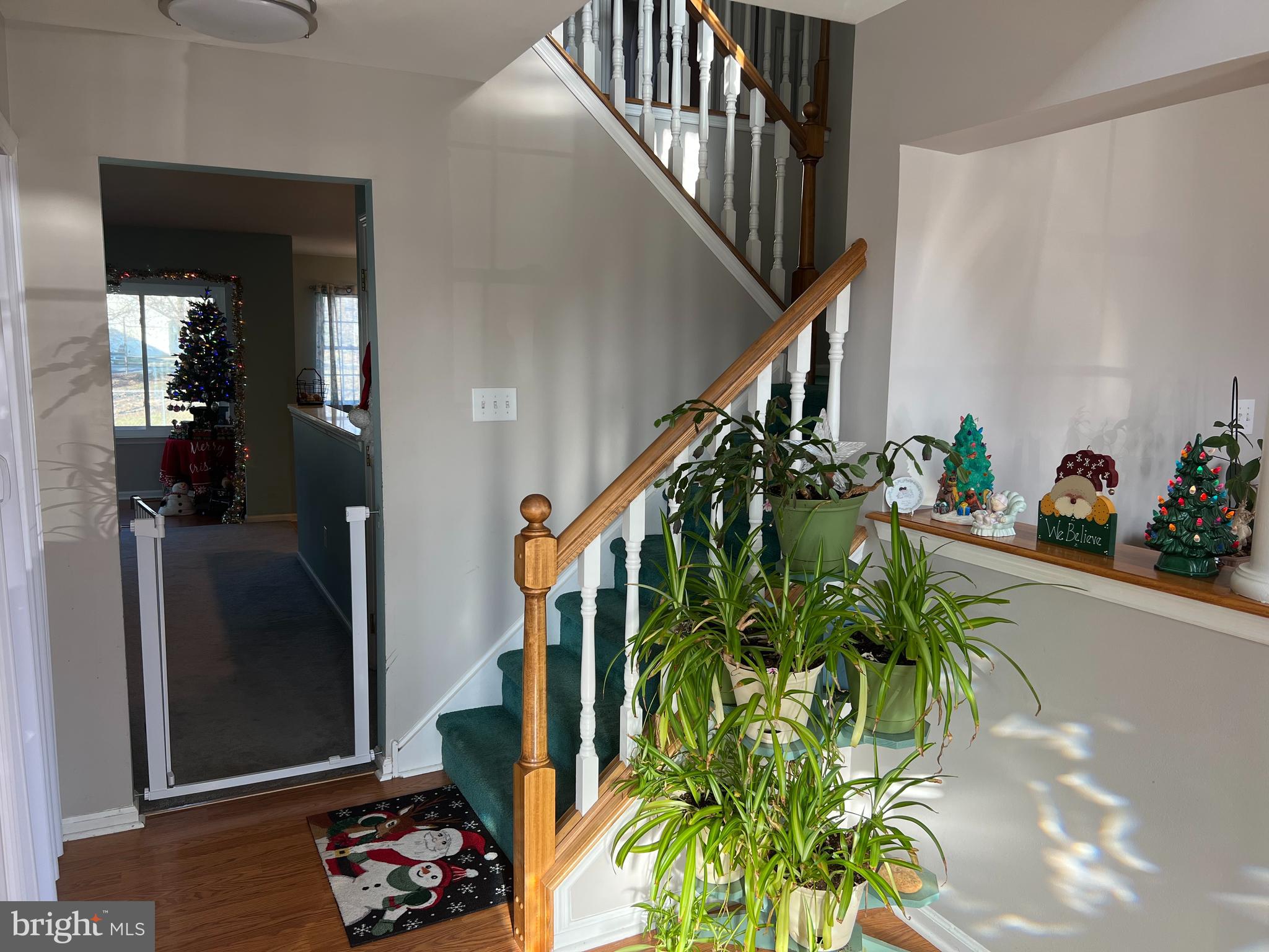626 OLYMPIA STREET