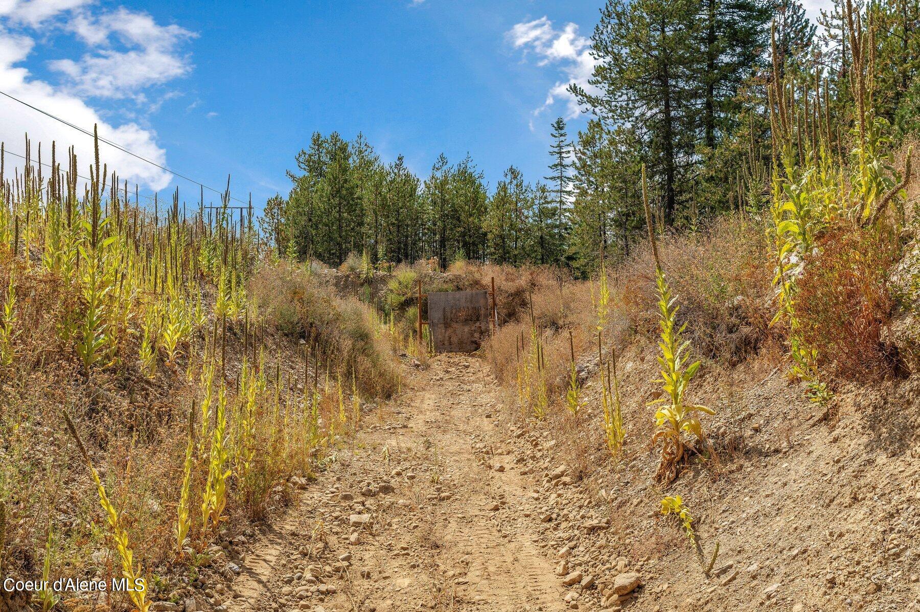 22489 N CASHMERE WAY