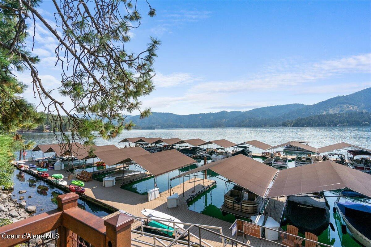 11105 N ARCTIC FALLS LOOP