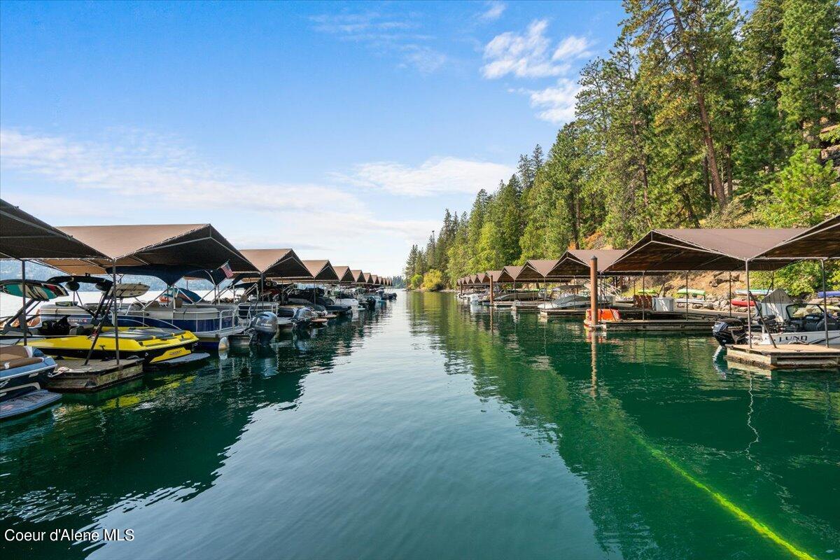 11105 N ARCTIC FALLS LOOP