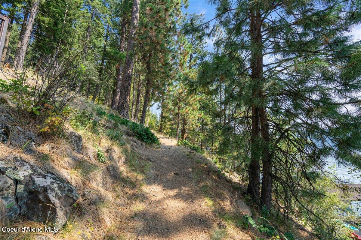 11105 N ARCTIC FALLS LOOP