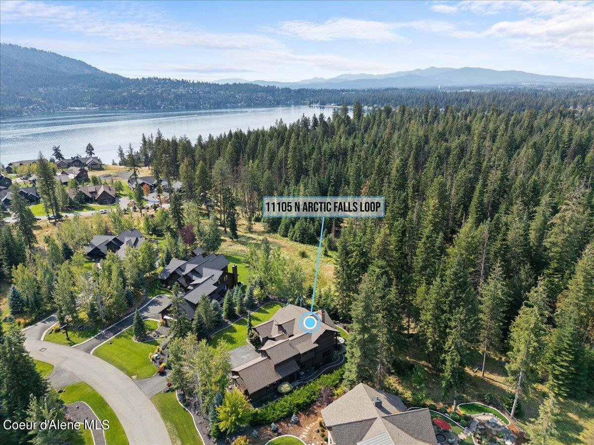 11105 N ARCTIC FALLS LOOP