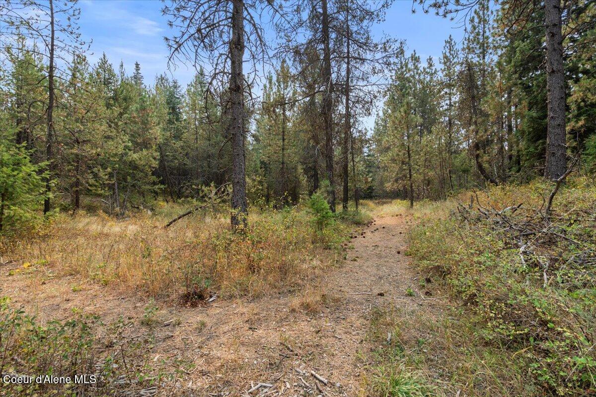 23210 N MASSIF RD