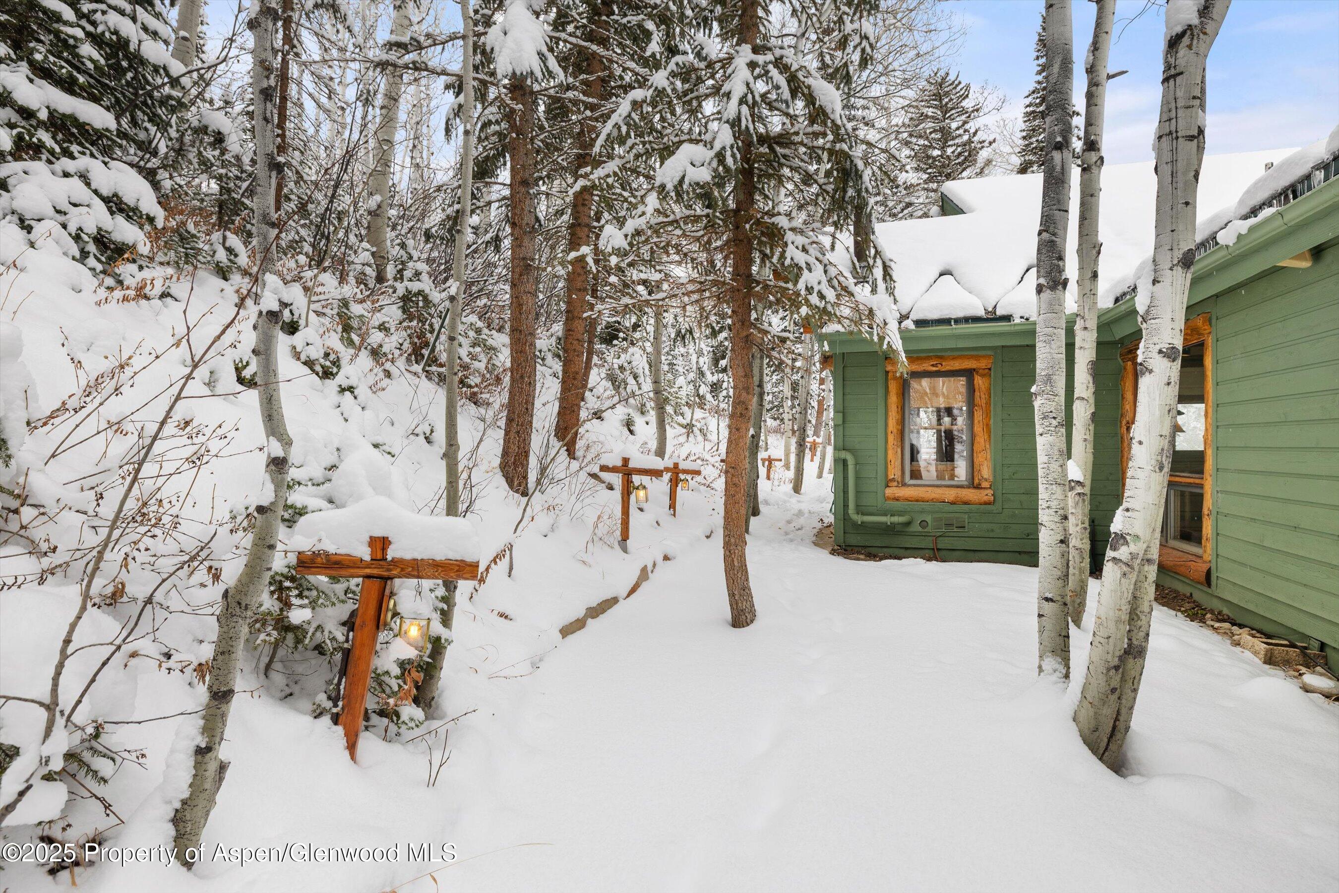 Green cabin among snow-covered aspens and evergreens, with deep snow across the roof and yard.