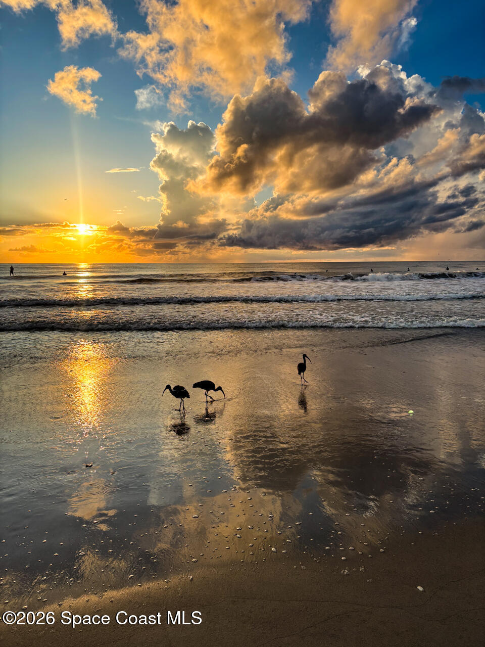 1025 Highway A1a 501