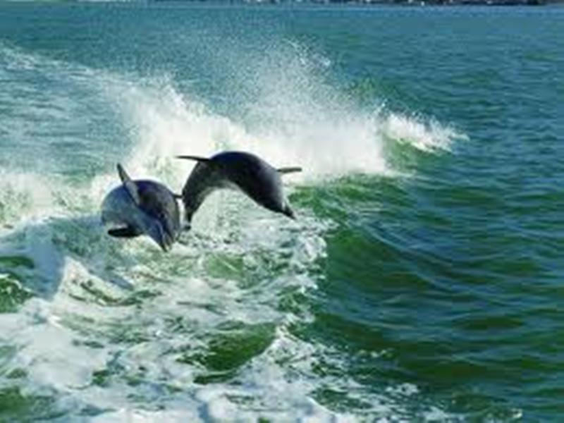 1709 WAVECREST COURT