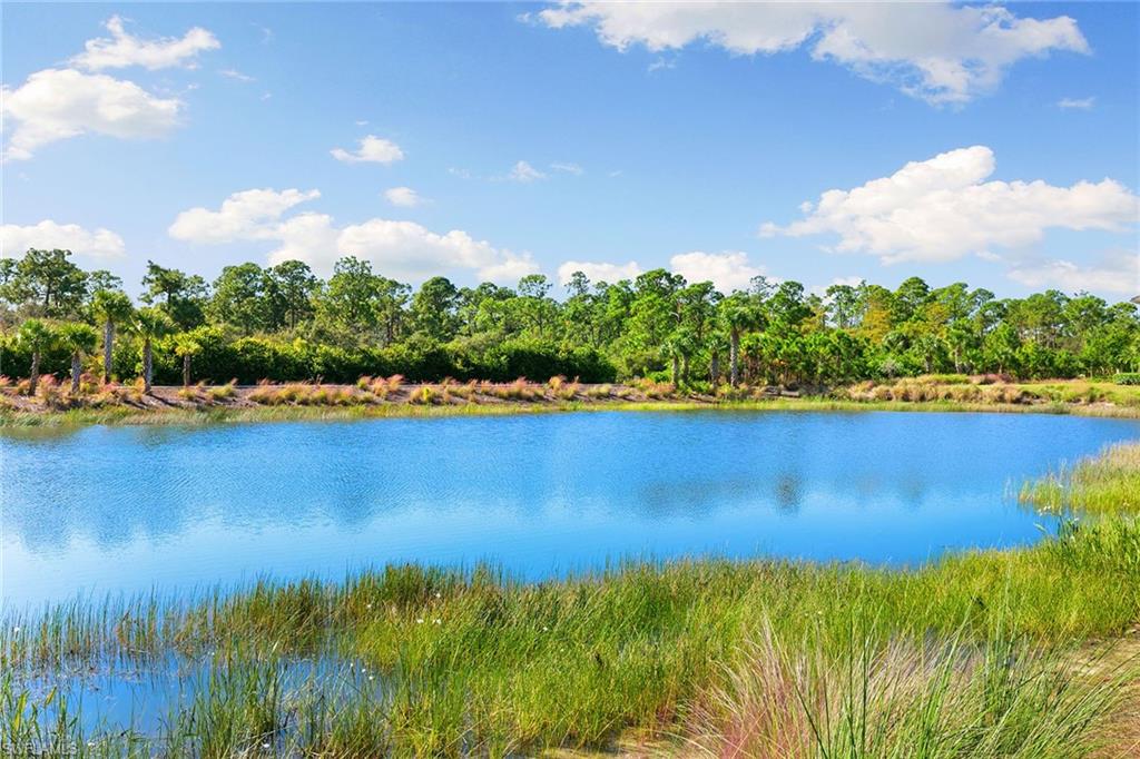 6585 Dominica DR # 201