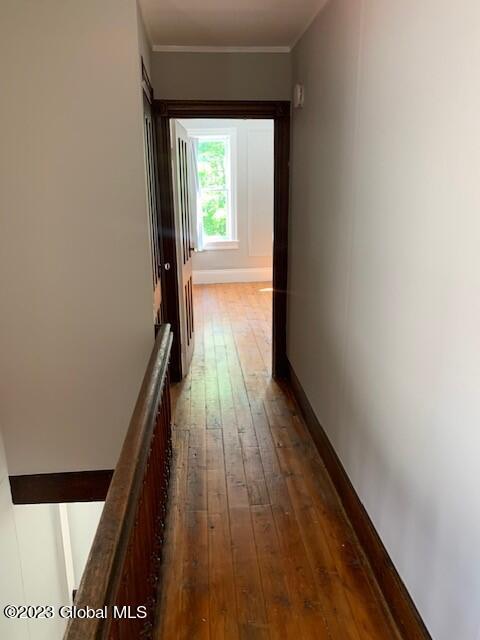 19-19 1/2 Van Dorn Street