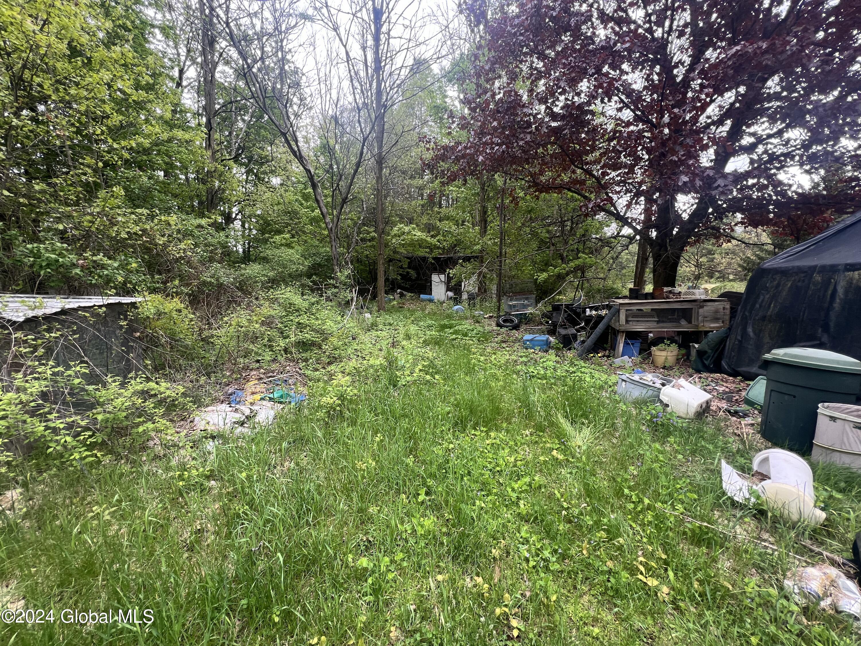 258 Young Road
