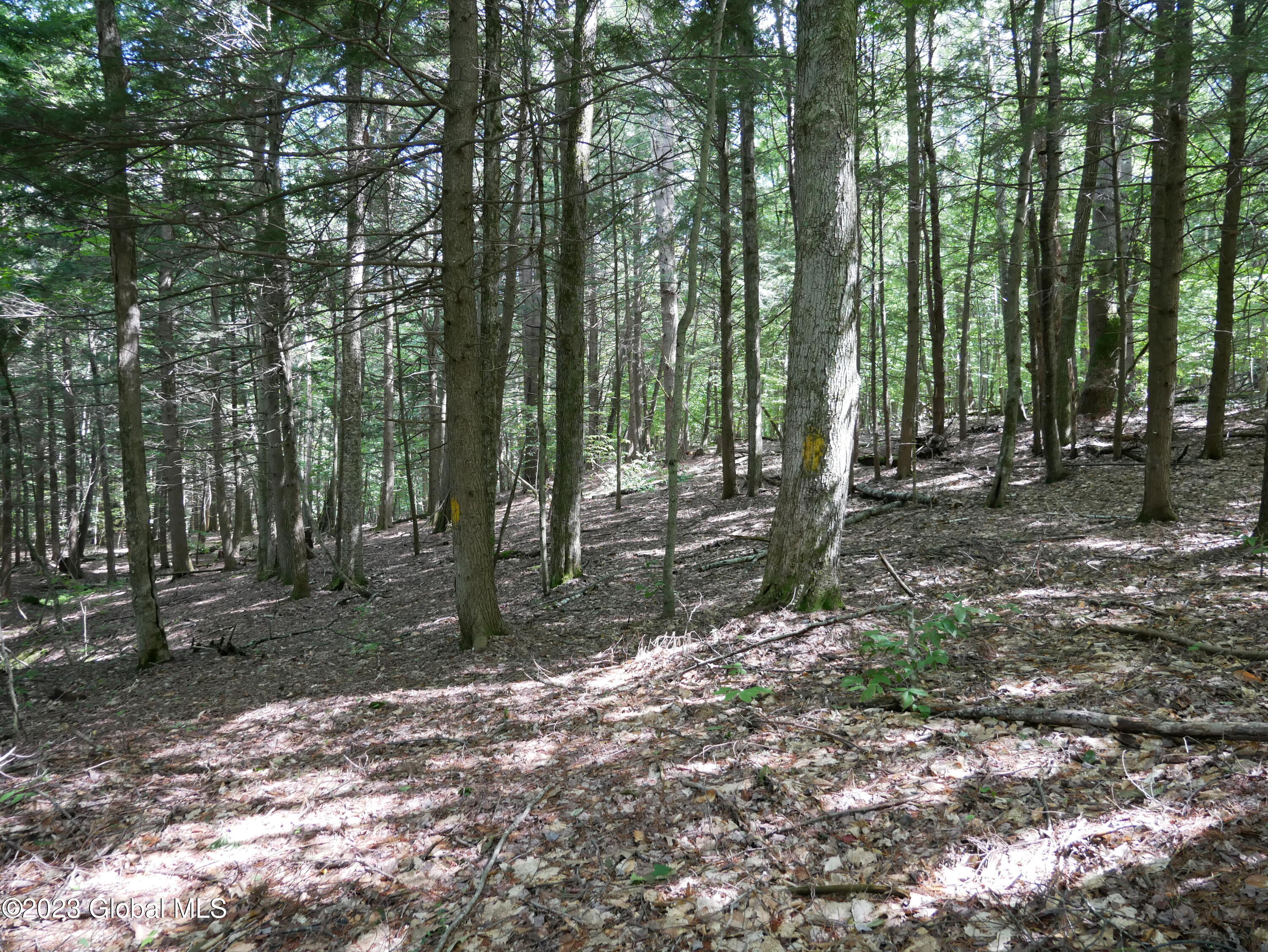 520 Collins-Gifford Valley Road