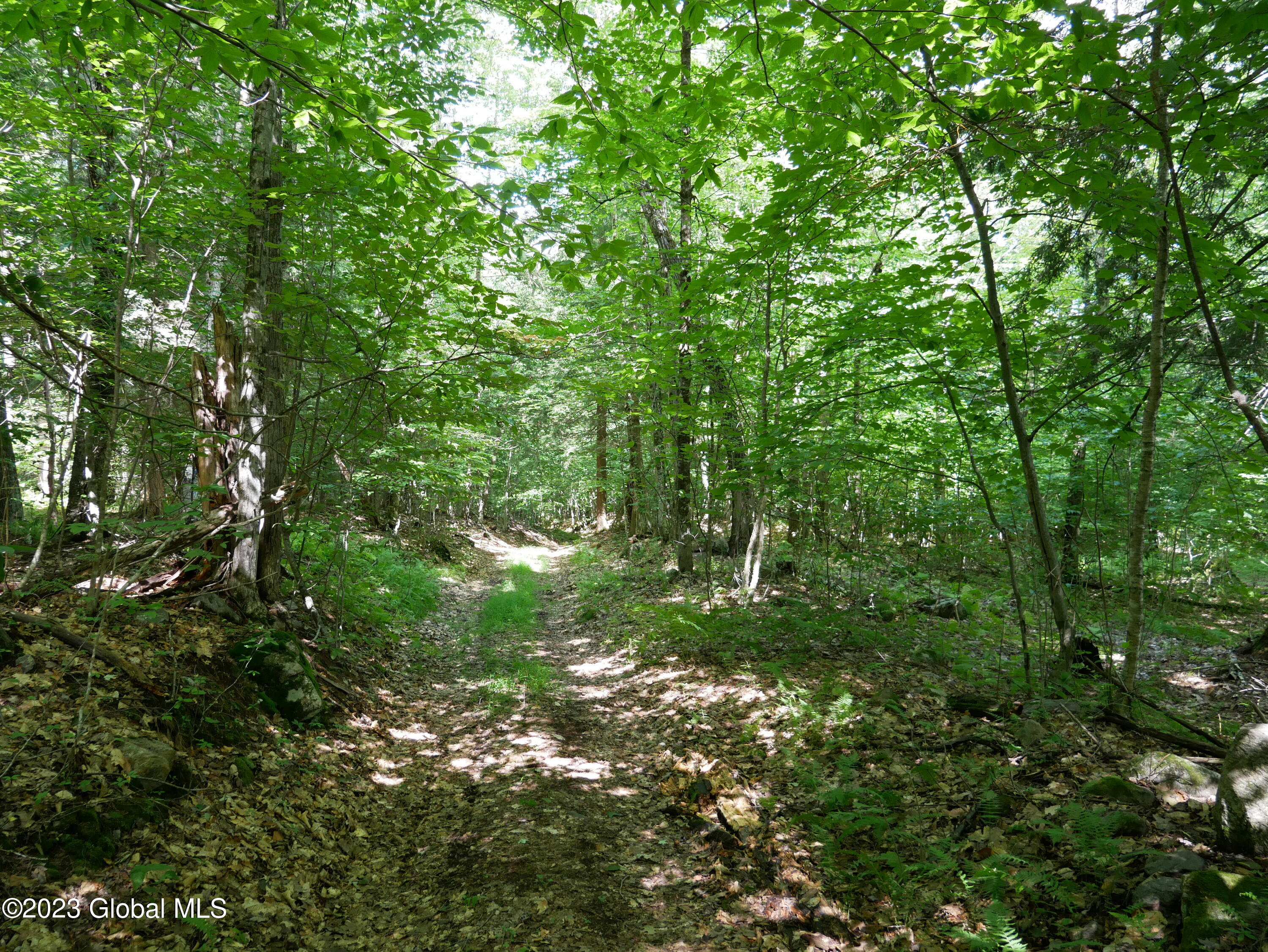 520 Collins-Gifford Valley Road