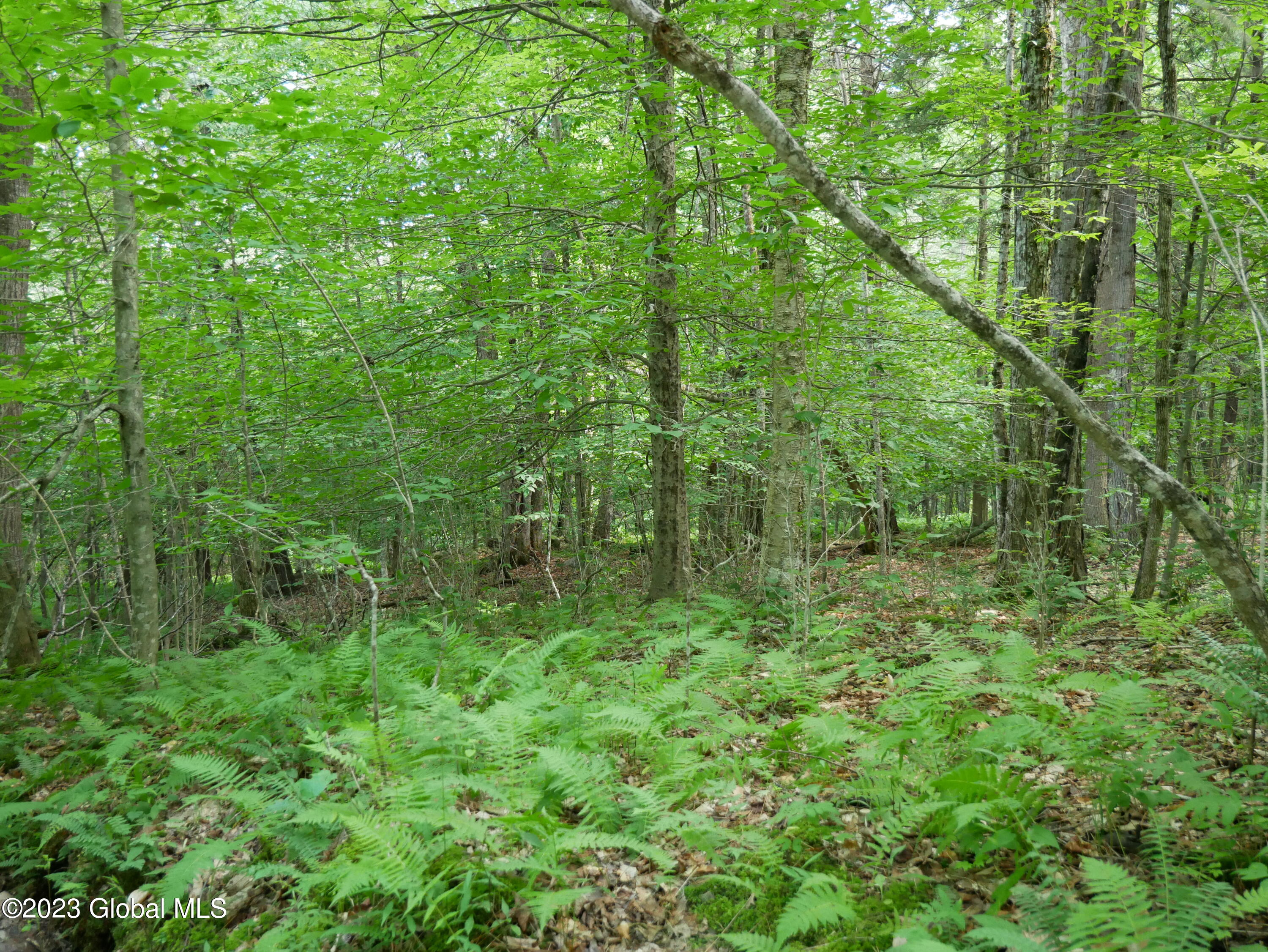520 Collins-Gifford Valley Road