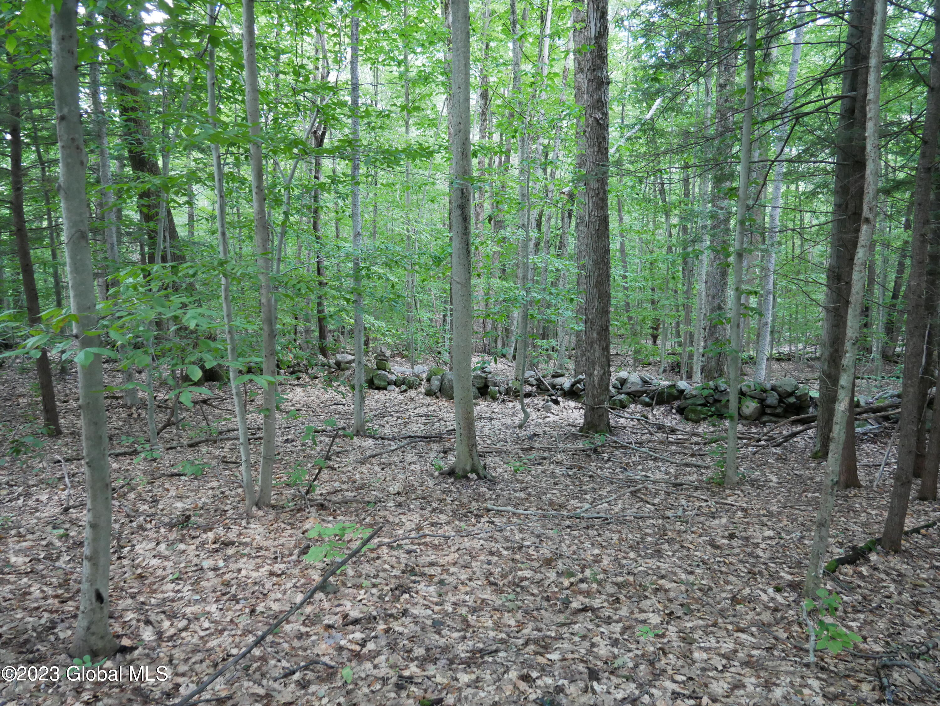 520 Collins-Gifford Valley Road