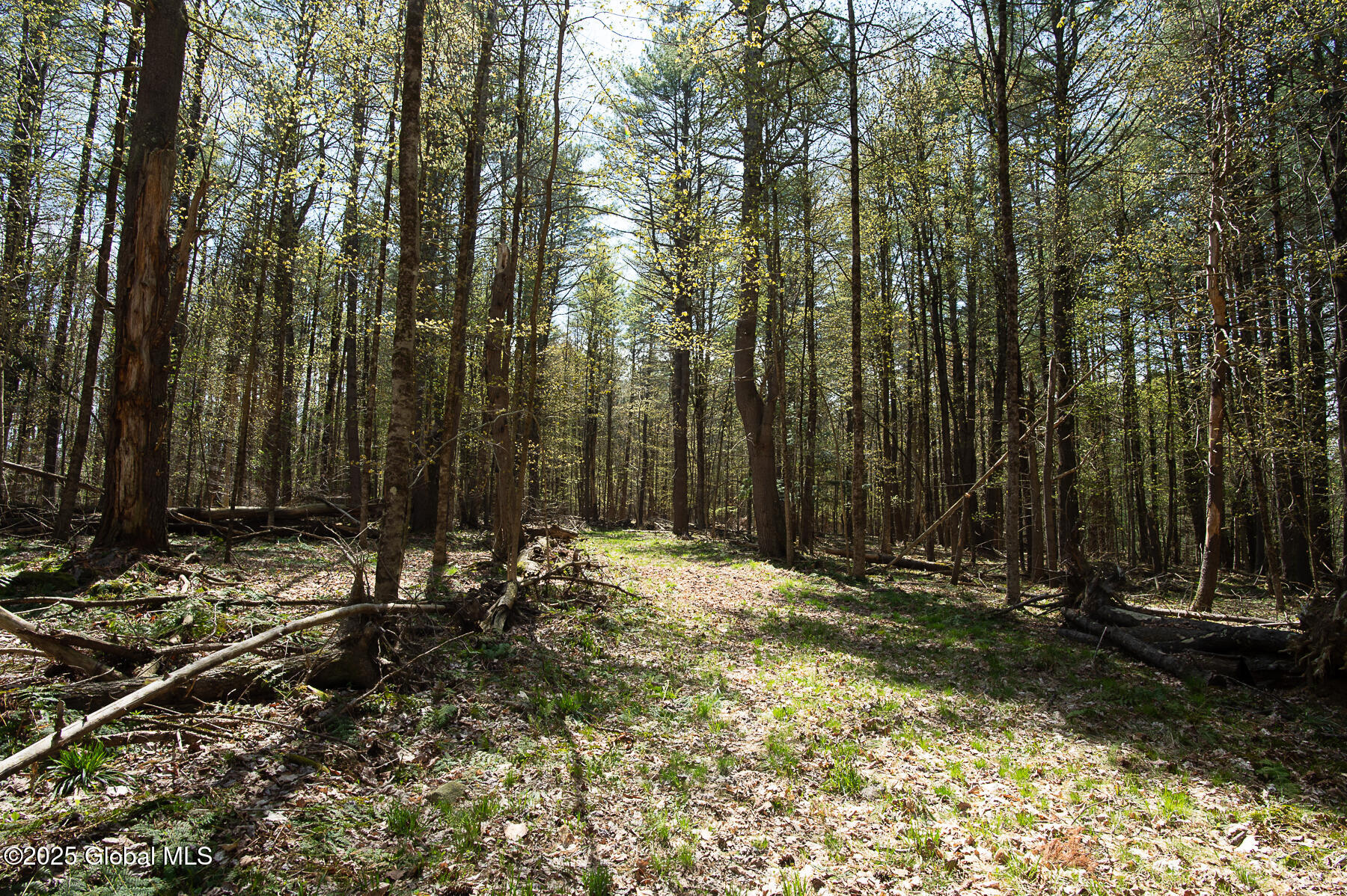 386 Griffis Road