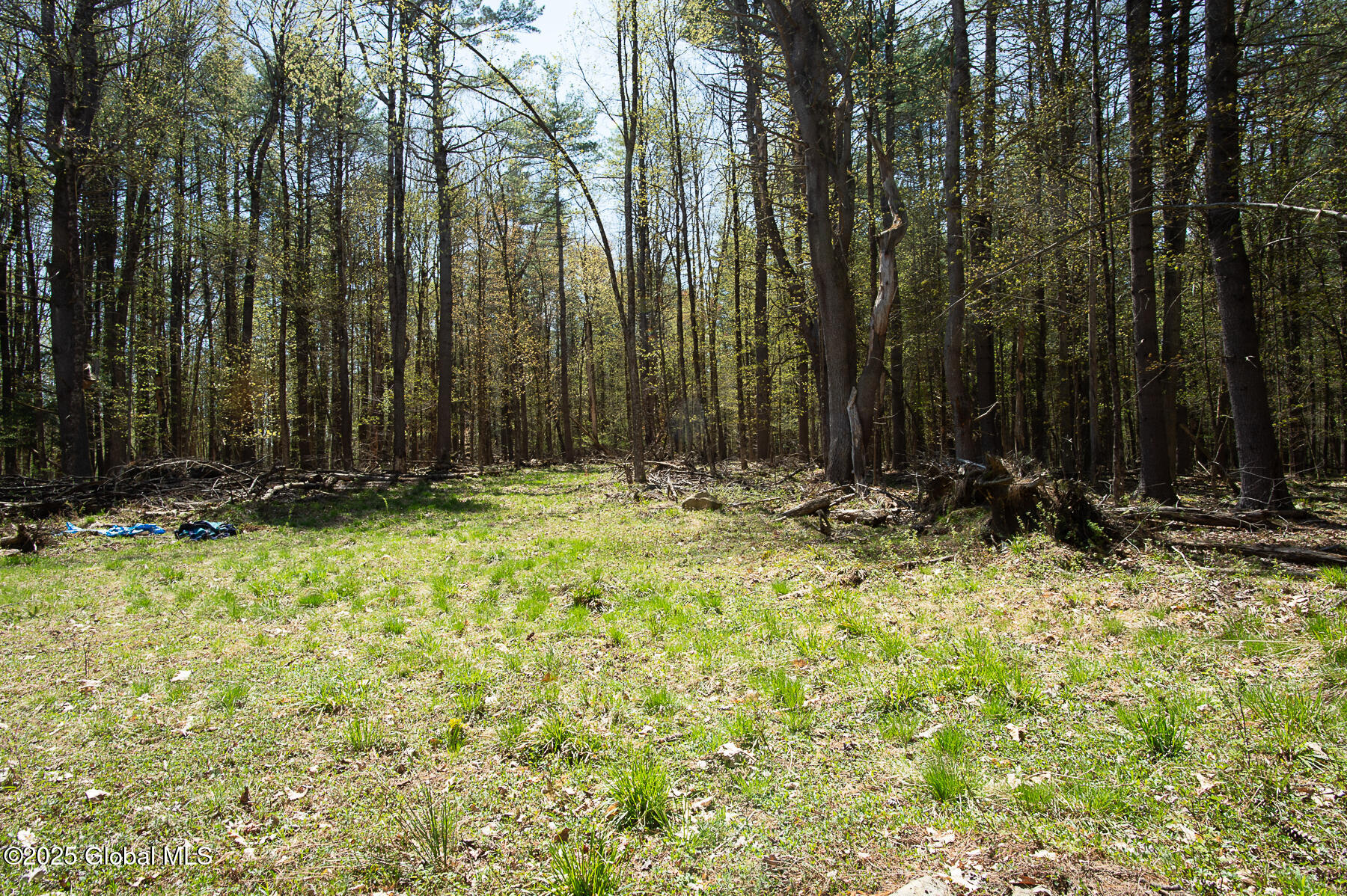 386 Griffis Road