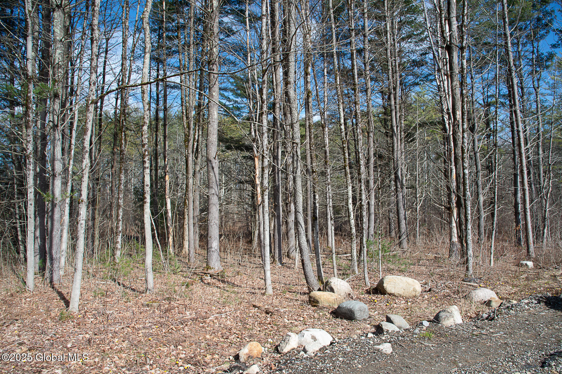 386 Griffis Road