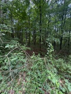 3006 County Hwy 107