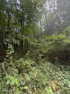 3006 County Hwy 107