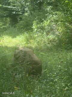 3006 County Hwy 107