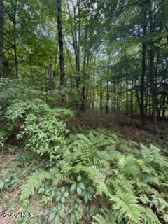 3006 County Hwy 107
