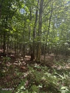 3006 County Hwy 107
