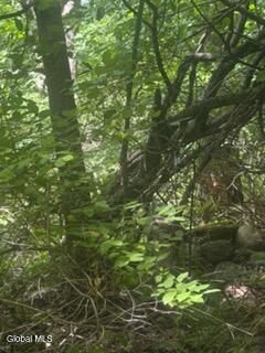 3006 County Hwy 107