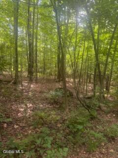 3006 County Hwy 107